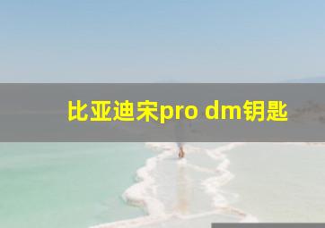 比亚迪宋pro dm钥匙